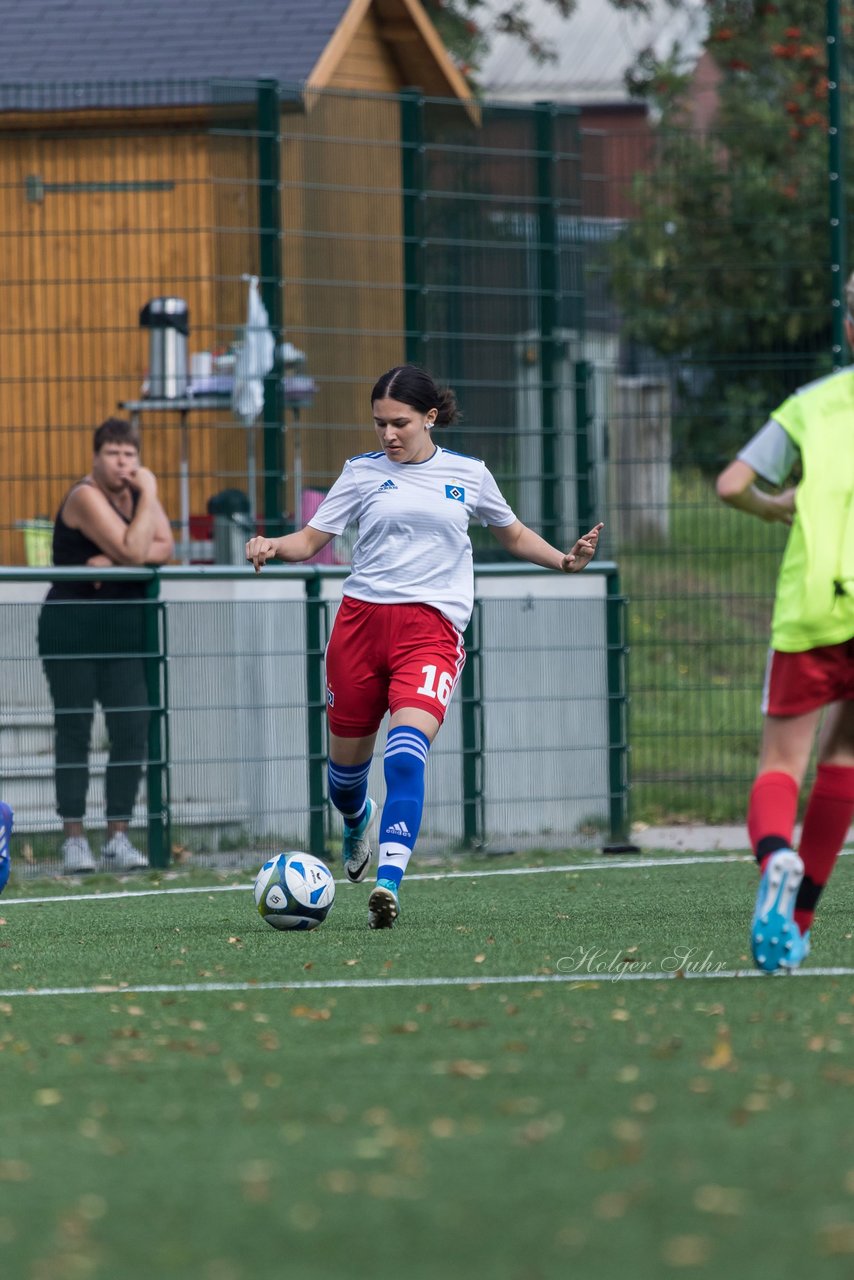 Bild 338 - C-Juniorinnen HSV - Walddoerfer : Ergebnis: 9:1